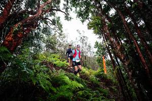 BIB: 
                            <button type="button" onclick="openModal(26201946)" class="btn btn-primary btn-sm float-right btn-popup" data-toggle="modal" data-target=".modal-high-quality">
                        <i class="fas fa-shopping-cart"></i> Add to Cart
                    </button>
                                            <button type="button" onclick="isThisMe(26201946, true)" class="btn btn-success btn-sm float-right btn-popup btn-isme hidden" data-toggle="tooltip" data-placement="bottom" title="นี่คือรูปของคุณใช่ไหม คลิกที่นี่เพื่อเอาเข้าอัลบั้ม">
                        <i class="fas fa-plus"></i> Add to album
                    </button>
                    <button type="button" onclick="isThisMe(26201946, false)" class="btn btn-warning btn-sm float-right btn-popup btn-isnotme hidden">
                        <i class="fas fa-ban"></i> Remove from album
                    </button>